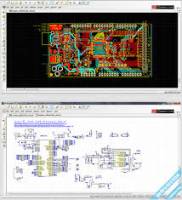 nhan ve autocad